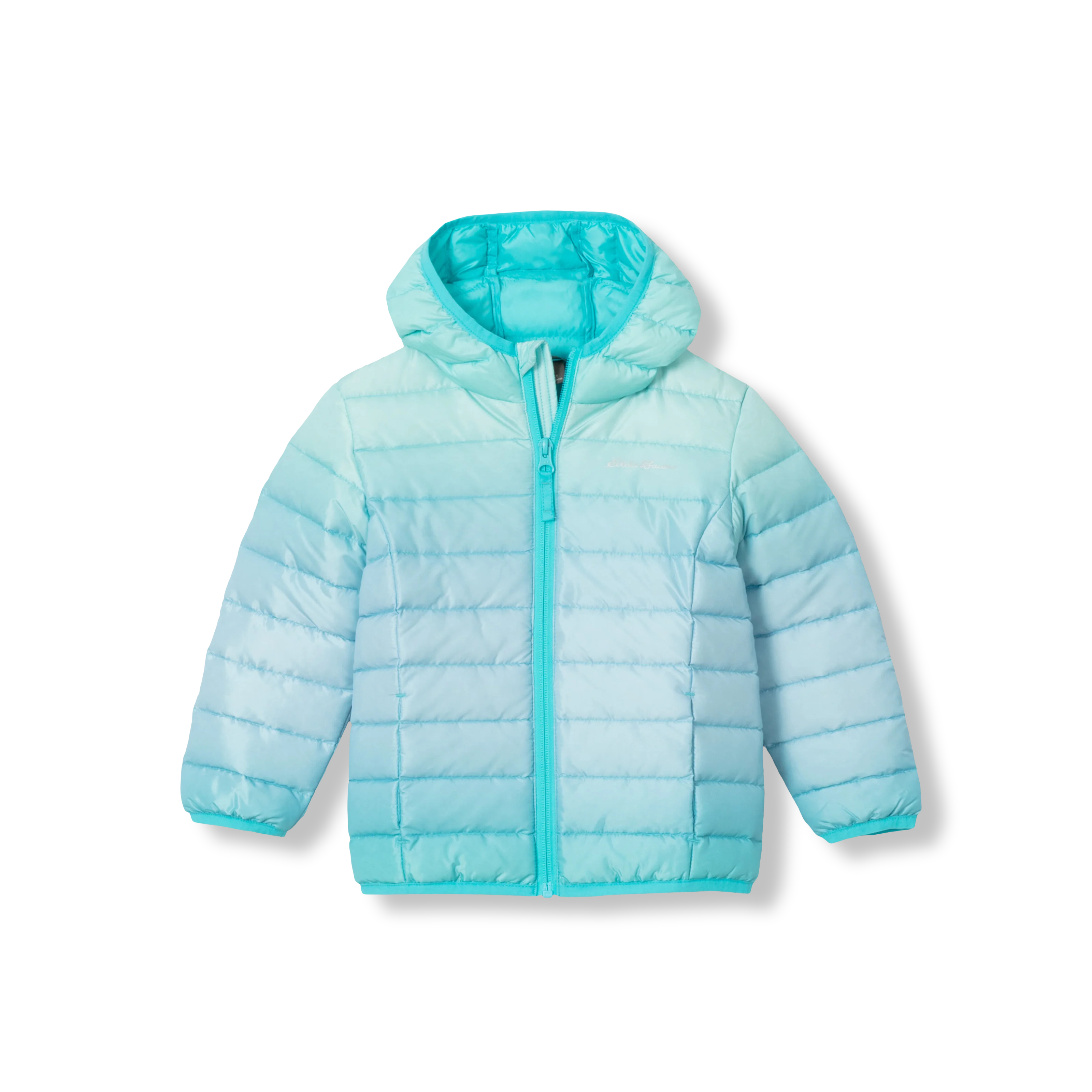Toddler Cirruslite Down Hooded Jacket